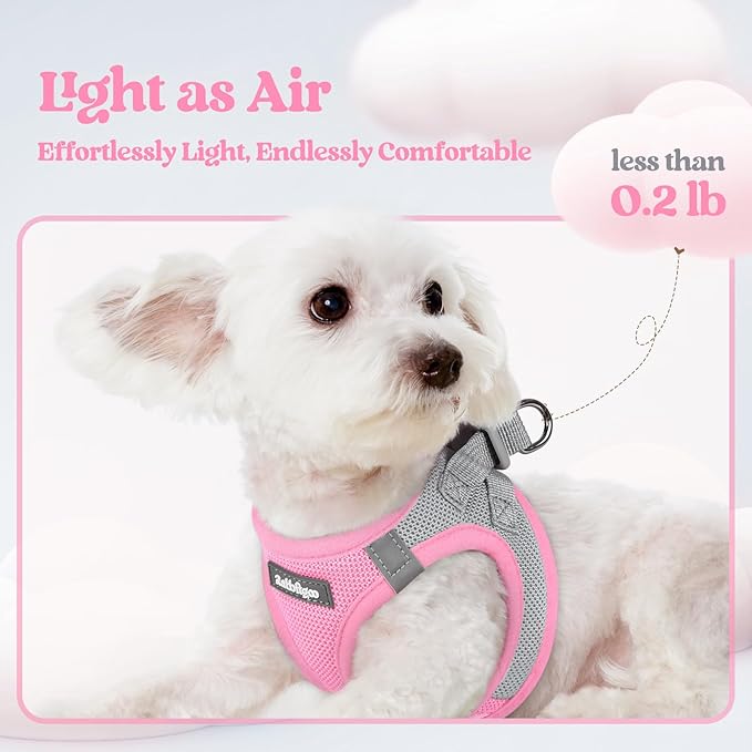 rabbitgoo Dog Harness Small Sized and Leash Set, Step in Soft Light Puppy Vest, Breathable Mesh Pet Harness, Reflective for Safe Easy Walking, Pink & Gray XS