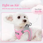 rabbitgoo Dog Harness Small Medium Sized and Leash Set, Step in Soft Light Puppy Vest, Breathable Mesh Pet Harness, Reflective for Safe Easy Walking, Pink & Gray L