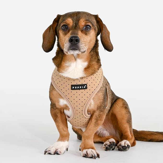 Puppia Dotty Dog Harness A (Over-the-Head) Fashionable Polka Dot Pattern Spring Summer Harness for Small Dogs, Beige, Medium