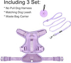 Petmolico Dog Harness for Small Dogs, Cute Harness Vest with Two Leash Clips and Soft Handle, Reflective Easy Walk Puppy Vest - Light Purple, Small
