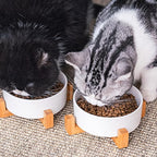 Petygooing White Ceramic Cat Dog Bowl Set with Stand,Small Dog Bowls,Pet Food and Water Dish, Anti Slip Set of 2 Cat Bowls Pet Food Bowl- Pet Dish Small Size Pet (13.5OZ/5.1 in)
