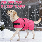 BEAUTYZOO Dog Winter Coat for X-Large Dogs Waterproof, Warm Reflective Great Dane Oxford Canvas Jacket, Fleece Dog Cold Weather Coats Windproof for Female Male Dogs, Rose Pink XL