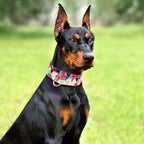 Wide Martingale Dog Collar - Heavy-Duty Escape-Proof Training Collar for Medium, Large & XL Dogs | Big & Thick No Pull Adjustable Design (Colored Triangle M)