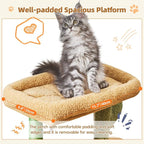 Taoqimiao Cat Tree,38.5-Inch Cat Tower for Indoor Cats,Suitable for Kittens with Luxurious cat condo with Adjustable Baskets and Luxurious Perch MS029ST Cactus
