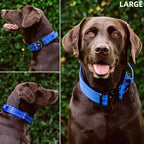 Tuff Pupper Tactical Dog Collar with Handle | Heavy Duty Adjustable Dog Collar | Military Nylon Collar for Large Dogs | Quick-Release Buckle | Soft Padded Comfort | Training Control (Blue, Large)