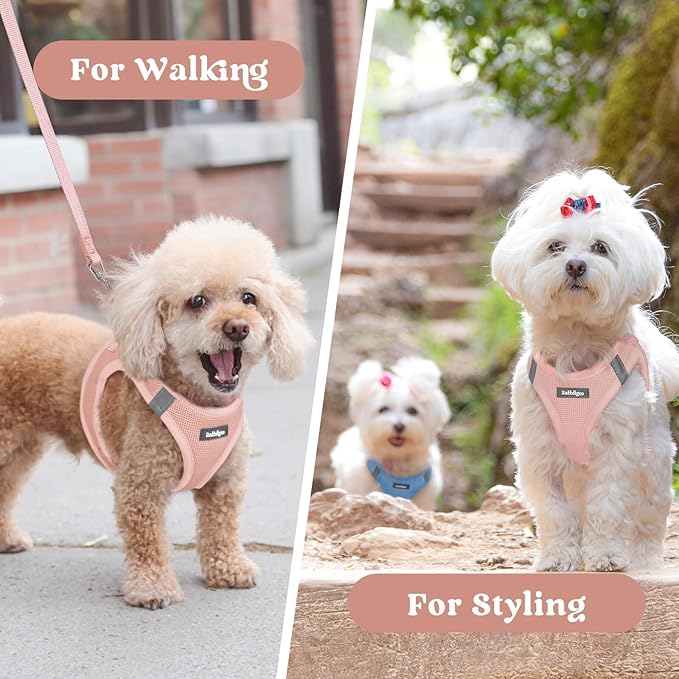 rabbitgoo Small Dog Harness, Step-in Soft Mesh Puppy Vest with Safety Buckle, Breathable Reflective Pet Harness for Large Dogs, Pink XXL