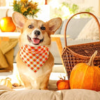 Abbylike 50 Pcs Orange Plaid Dog Bandanas Bulk Check Pattern Bandanas for Dogs Triangle Kerchief Bib Scarf Set for Pet Party Costume Photo Props Accessories Pet Shops, 25 Styles (25.6 x 17.7 x 17.7)