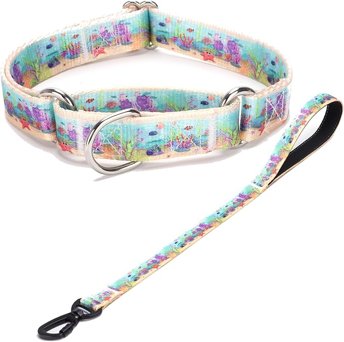 Martingale Collar and Leash Set, Premium No Slip Martingale Collar for Dogs Medium Large, Girl Dog Collars Training (NO27, M)