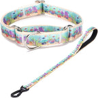 Martingale Collar and Leash Set, Premium No Slip Martingale Collar for Dogs Medium Large, Girl Dog Collars Training (NO27, M)