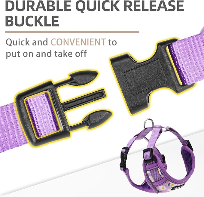 PUPTECK Small Dog Harness and Leash Set, No Pull Adjustable Puppy Cat Harness, Reflective Soft Mesh Pet Vest Small Sized, Daisy, S