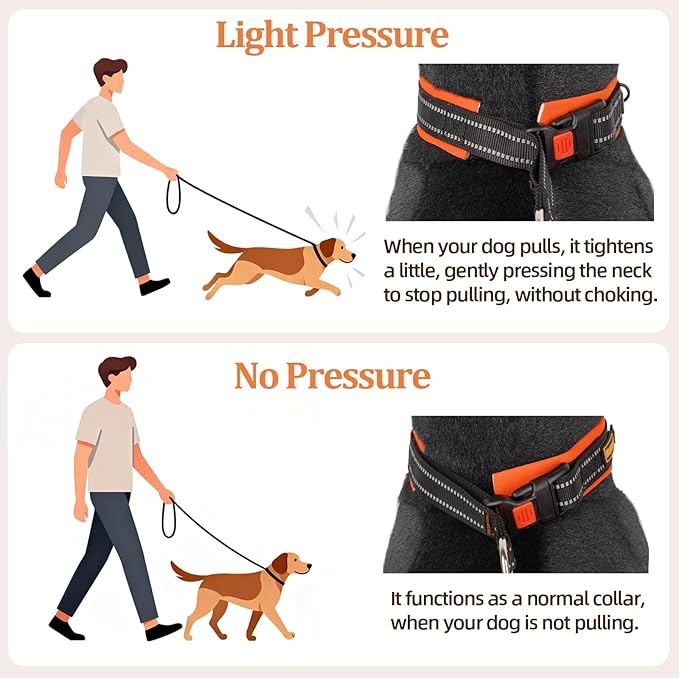 Mayerzon 1.5" Wide Martingale Collar for Large Medium Small Dogs Pitbull German Shepherd, No Pull Reflective Slip Martingale Dog Collar with Buckle Soft Padded for Walking Training(Orange, XL)