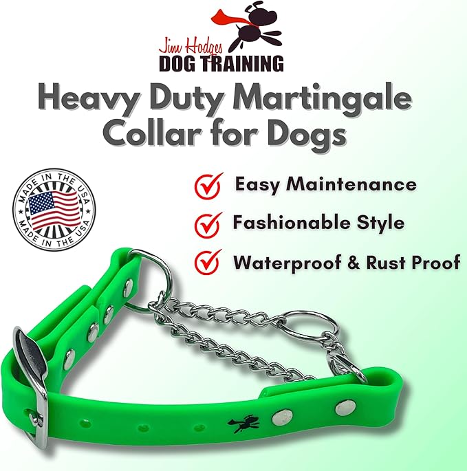 Martingale Collar for Dogs, Biothane, Stainless Steel Hardware, No Pull, Made in The USA, Professional Grade, XXS, Green