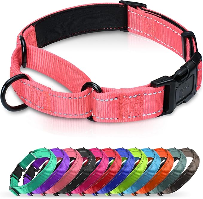 Martingale Collar for Dogs with Quick Release Buckle, Reflective Soft Padded & Escape Proof, Adjustable Nylon Dog Collars for Training & Daily Walking (Neon Pink,M)