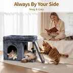 Cat Tree Tower Bed with Scratching Post for Indoor, Heavy Duty Small Stand House Condo for Large Cats & Kittens, Platform Perch Hideout Climb Rest Area, Modern Sturdy Furniture, Dark Gray