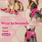 rabbitgoo Small Dog Harness, Step-in Soft Mesh Puppy Vest with Safety Buckle, Breathable Reflective Pet Harness for Extra Small Dogs, Rose Red XXXS