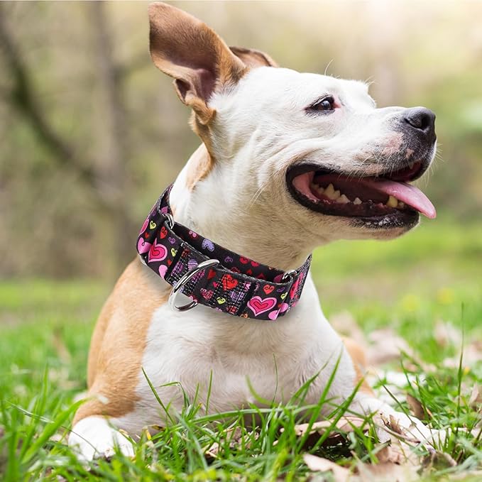 Valentine's Day 1.5 inch Wide Martingale Dog Collar, Cute Loving Heart Collar for Medium Large Extra Large Dogs -Heart XL