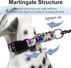 Reflective Martingale Collar for Dogs with Quick Release Buckle No Pull Training Dog Collars (Colorful Geometric, Large)