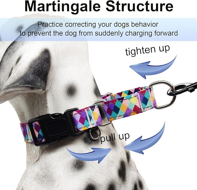 Reflective Martingale Collar for Dogs with Quick Release Buckle No Pull Training Dog Collars (Colorful Geometric, Small)