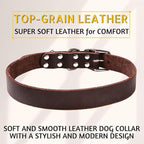 ADITYNA Leather Dog Collar for Extra-Large Dogs - Classic, Soft, Strong, Heavy Duty, Handmade Top-Grain Leather - for Walking, Training, and Hiking