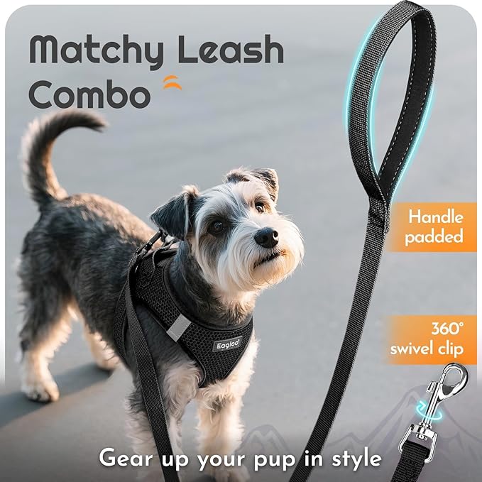 Eagloo Small Dog Harness and Leash Set, Step in Puppy Vest with Breathable Soft Mesh, Walking Reflective Pet Harness for Medium Small Dogs, Black, M