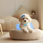 Dog Birthday Party Supplies Dogs Cats Birthday Costume Set Blue Tutu Skirt Dog Cat Birthday Hat Necklace for Puppy Dog Halloween Birthday Wedding Party Costume (Blue)