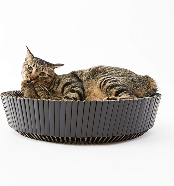 Nest Cat Scratcher Lounge Bed (Midnight Black Un-Assembled)