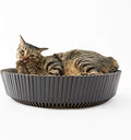 Nest Cat Scratcher Lounge Bed (Midnight Black Un-Assembled)