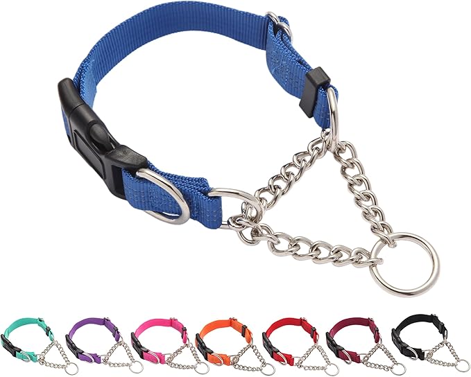 Martingale Dog Collar with Quick Release Buckle Steel Chain No Pull Training Reflective Collar for Medium Large Dogs(Blue, Medium)