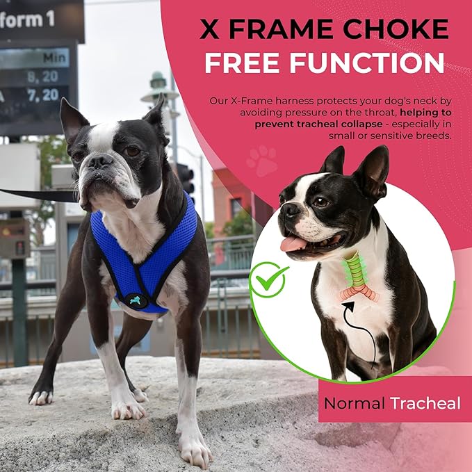 Gooby Comfort X Head in Harness - Blue, Large - No Pull Small Dog Harness, Patented Choke-Free X Frame - Perfect on The Go Dog Harness for Medium Dogs No Pull or Small Dogs for Indoor and Outdoor Use
