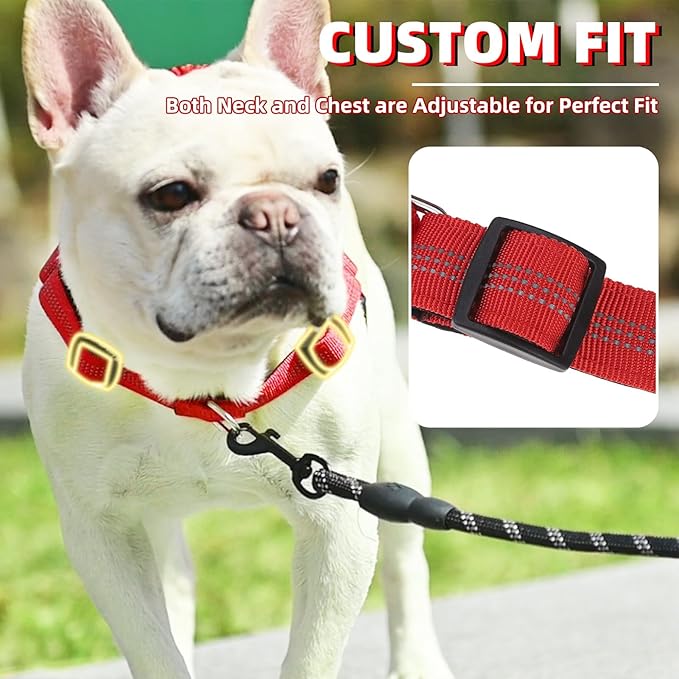 PUPTECK No Pull Dog Harness Small Sized Dog, Adjustable Reflective Pet Vest Harness with Bungee Handle, Escape Proof No Choke Harness for Small Dogs Walking Training, Red XS