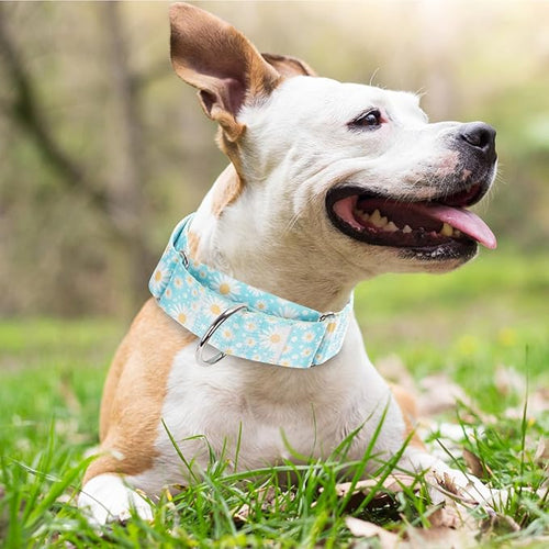 1.5 Inch Martingale Dog Collar - No Pull Nylon Training Collar for Medium, Large & XL Dogs | Heavy Duty Adjustable Choke-Free Collar for Large Breed Pets (Blue Daisy L
