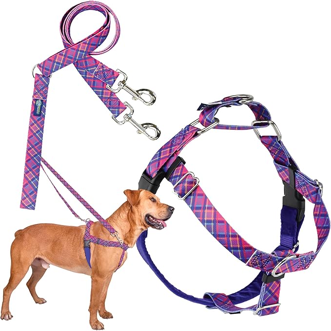 2 Hounds Design - Freedom No-Pull Harness & Training Leash in Pink and Purple | Dual Leash Loops, No Pulling on Walks | Lined to Prevent Chaffing | for Large Sized Dogs (Size M, Chest 24”- 28”)