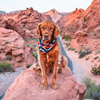 Wilderdog Dog Bandana with Lightweight Quick Drying Poly-Blend Mesh Material in Rainbow