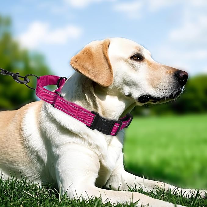 Martingale Collar for Dogs with Quick Release Buckle, Reflective Soft Padded & Escape Proof, Adjustable Nylon Dog Collars for Training & Daily Walking (Hotpink,L)