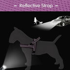 Didog No Pull Dog Harness with Soft Mesh Padded,Reflective & Quick Fit Light Weight Dog Strap Vest Harness,Easy for Walking Training (L:Chest 26-32", Purple)