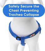 Pawtitas Solid Step-in Dog Harness – Adjustable No-Pull Vest for Puppies to Seniors, Safe & Comfortable XS Blue