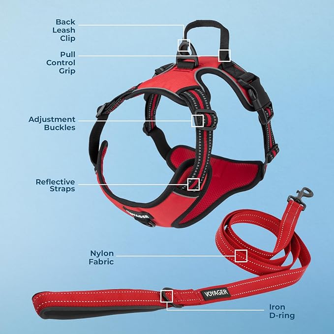 Voyager Dog Harness Dual Leash Attachment No-Pull Control Adjustable Soft but Strong Pet Harness for Medium and Large Dogs with 3M Reflective Technology, Leash Set Red Nylon, XS (Chest: 13-16")