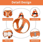 AMTOR Small Dog Harness with Leash Set, No Escape Easy Walk Puppy Harnesses for Training Walking, Step-in Reflective Soft Dogs Vest for XS S Medium Extra-Small Large Sized Dog(M Size,Orange/White)