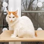 4 Pieces Cat Window Perch Suction Cup, Powerful Cat Window Bed Seat Replacement Suction Cup, Clear PVC Sucker Pads, 2 Styles