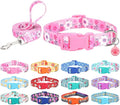 Dog Collar with Leash Airtag Holder Case Set - Dog Collars for Male Female Boy Girl Puppy X-Small Small Medium Large Dogs Walking Running Training - Pink Daisy/M