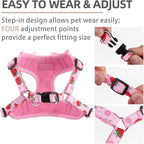 PUPTECK Dog Harness and Leash Set Small Sized, Step in No Pull Adjustable Puppy Cat Harness Reflective Pet Vest
