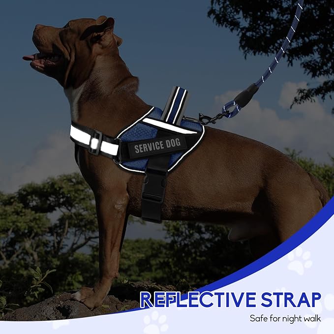 Service Dog Vest Harness and Leash Set, Animire in Training Dog Harness with 10 Dog Patches, Reflective Dog Leash with Soft Padded Handle for Small, Medium, Large, and Extra-Large Dogs (Blue,M)