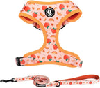 Dog Harness and Leash Set, Adjustable Dog Harness, Dog Leash, No Pull No Choke Puppy Harnesses for Walking Training for Small Medium Pet