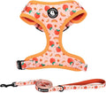 Dog Harness and Leash Set, Adjustable Dog Harness, Dog Leash, No Pull No Choke Puppy Harnesses for Walking Training for Small Medium Pet