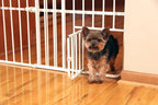Carlson 24-38" Lil Tuffy Expandable Metal Dog Gate for Doorways, Indoor Pet Gate with Small Pet Door, No-Drill Pressure Mount, White