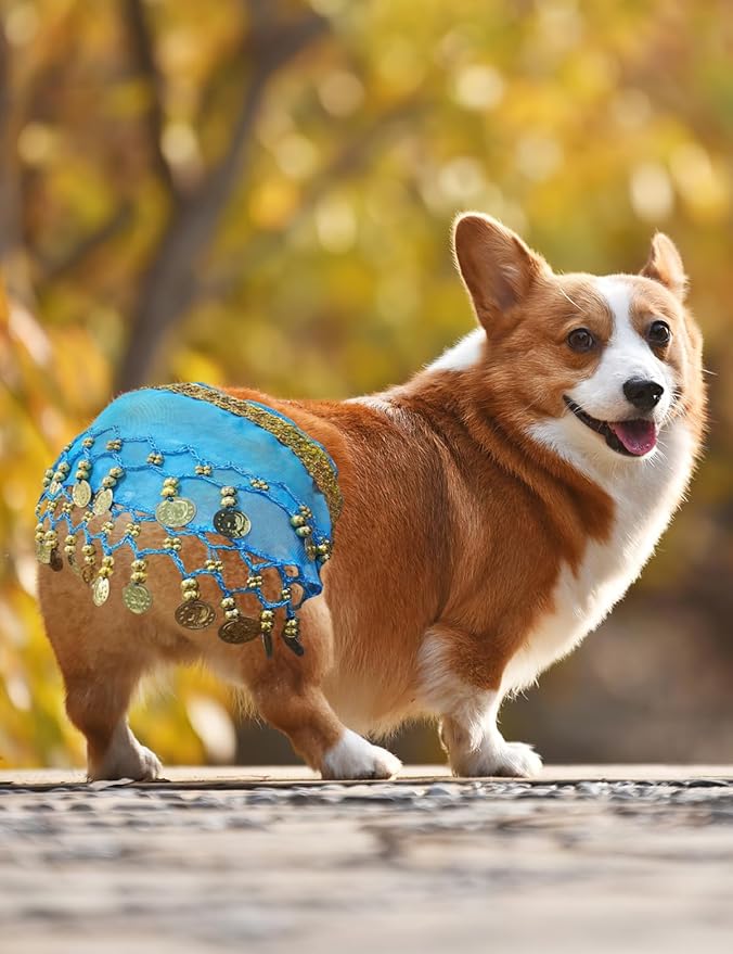 Dog Belly Dancer Costume - Puppy Outfit with Sequin Waist Chain & Hip-Shaking Skirt - Ideal for Corgi and Puppy Birthday Parties or Halloween Celebrations(Small,Lake Blue)