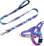 Annchwool No Pull Dog Harness with Padded Handle+5 Ft Leash,Escape Proof and Quick Fit to Adjust Dog Harness,Easy for Training Walking for Small & Medium and Large Dogs(Camo Purple Set,M)