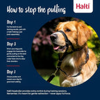 Halti Headcollar - Stop Your Dog Pulling on The Leash. Adjustable, Reflective and Lightweight, with Padded Nose Band. Dog Training Anti-Pull Collar for Medium Dogs (Size 2, Forest Green)