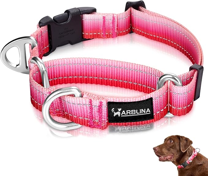 Martingale Collar for Dogs Large Medium Small Heavy Duty Buckle Dog Collar with Tag Ring Reflective Nylon Gradient Dog Collar No Pull Training Collar