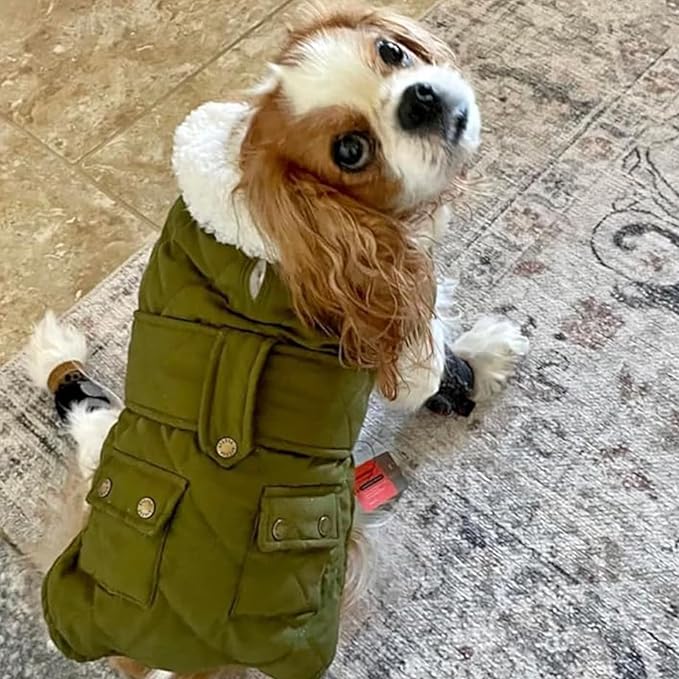 KYEESE Dog Coat Windproof Dog Coats for Small Dogs Soft Pet Sweater for Cold Weather Waterproof Dogs Jacket with Fleece Lined Warm Pet Winter Puffer Coat with Leash Hole Thick Pets Clothes with Pocket
